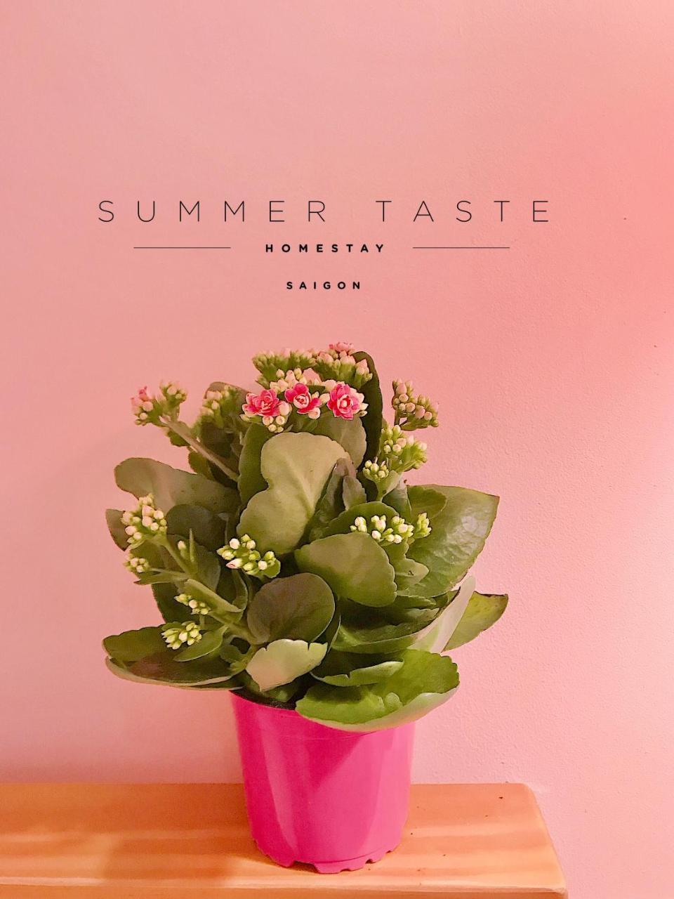 Summer Taste Homestay Πόλη Χο Τσι Μινχ Εξωτερικό φωτογραφία