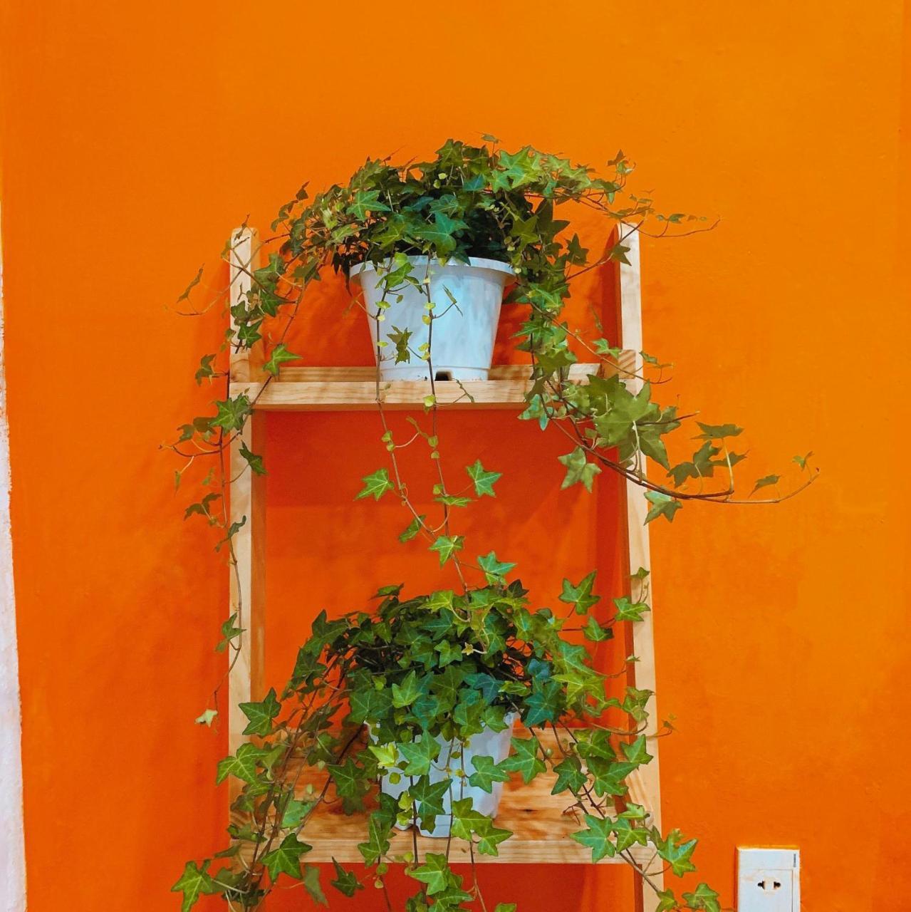 Summer Taste Homestay Πόλη Χο Τσι Μινχ Εξωτερικό φωτογραφία